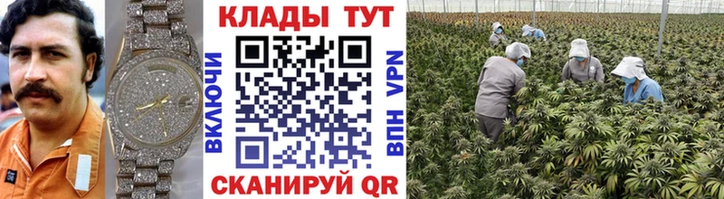 Купить наркотики сайты Грозный Марихуана  Альфа ПВП  МЕГА зеркало  МЕТАМФЕТАМИН  Гашиш  МЕФ  АМФ 