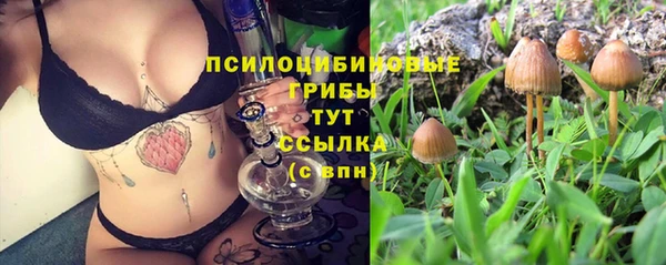 синтетический гашиш Алексеевка