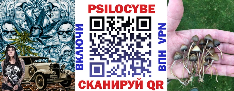 kraken ссылки  Грозный  Псилоцибиновые грибы Magic Shrooms  как найти закладки 