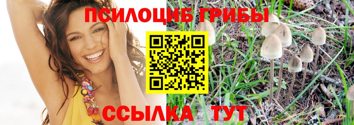 Псилоцибиновые грибы ЛСД  купить наркотики цена  Грозный  Вход с VPN 