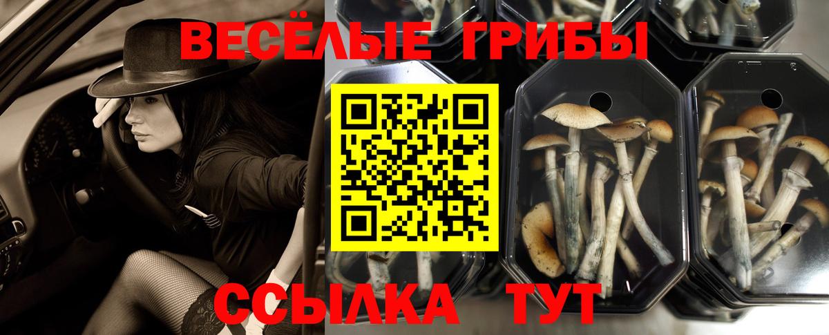 Галлюциногенные грибы Magic Shrooms Грозный
